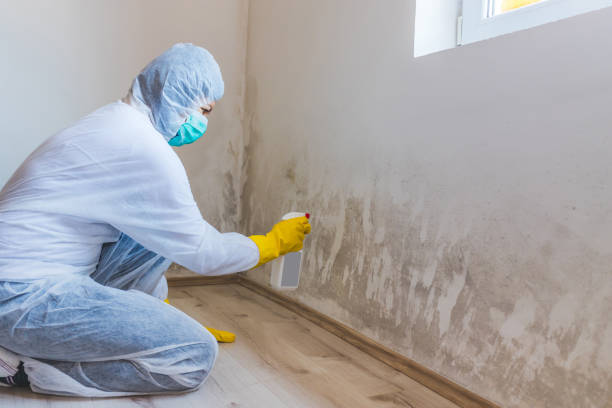 Commercial Mold Remediation assessment for commercial property in Springfield